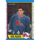 1989-90 O-Pee-Chee Hockey Cards