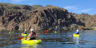 Kayak Tour,Kayaking Tour,Saguaro lake Tour,Kayaking